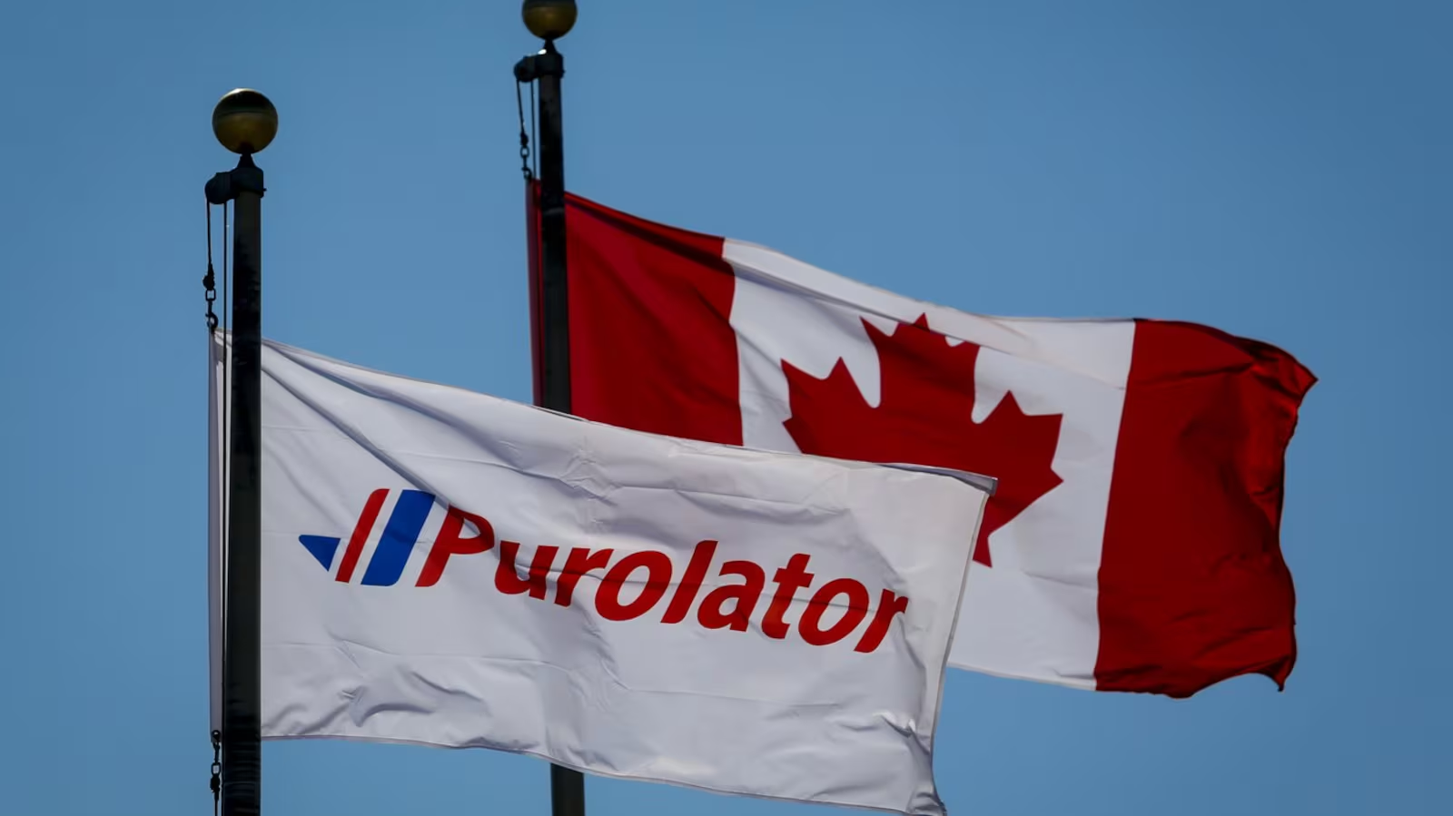 邮政罢工冲击物流，Purolator 和 UPS 暂停部分发货服务